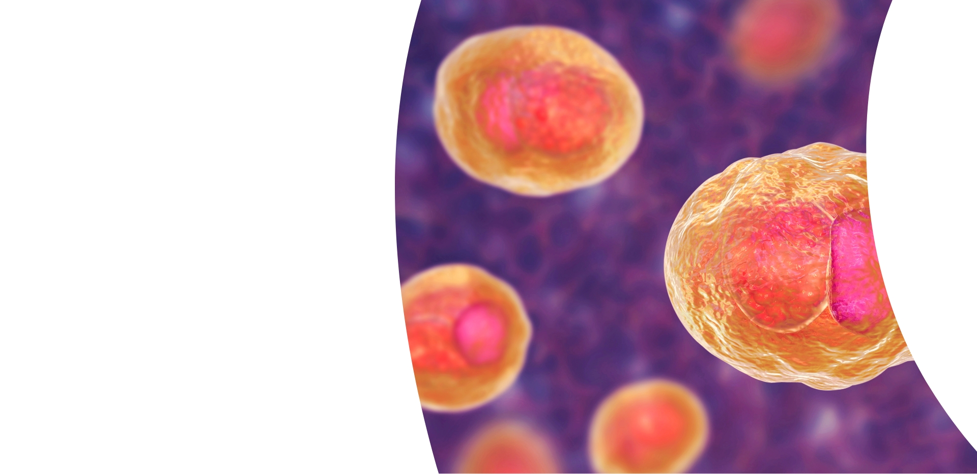 Ginekologia i proktologia