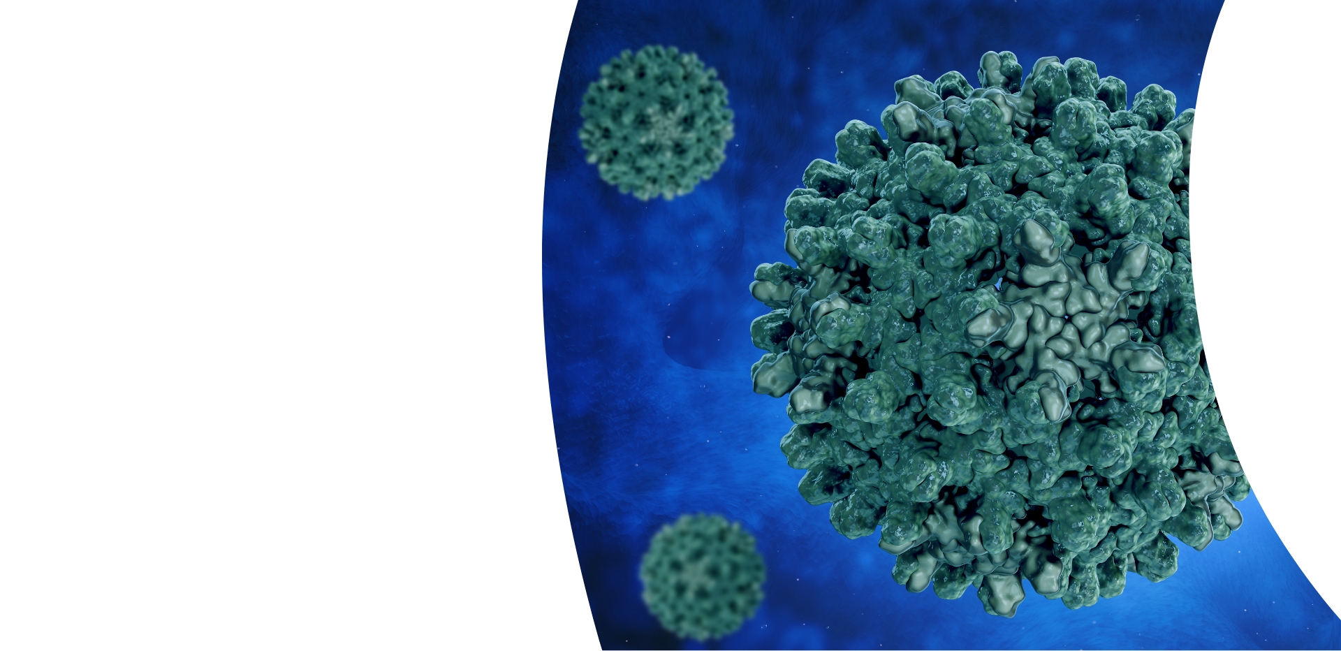 Immunoterapia bierna w wzw B