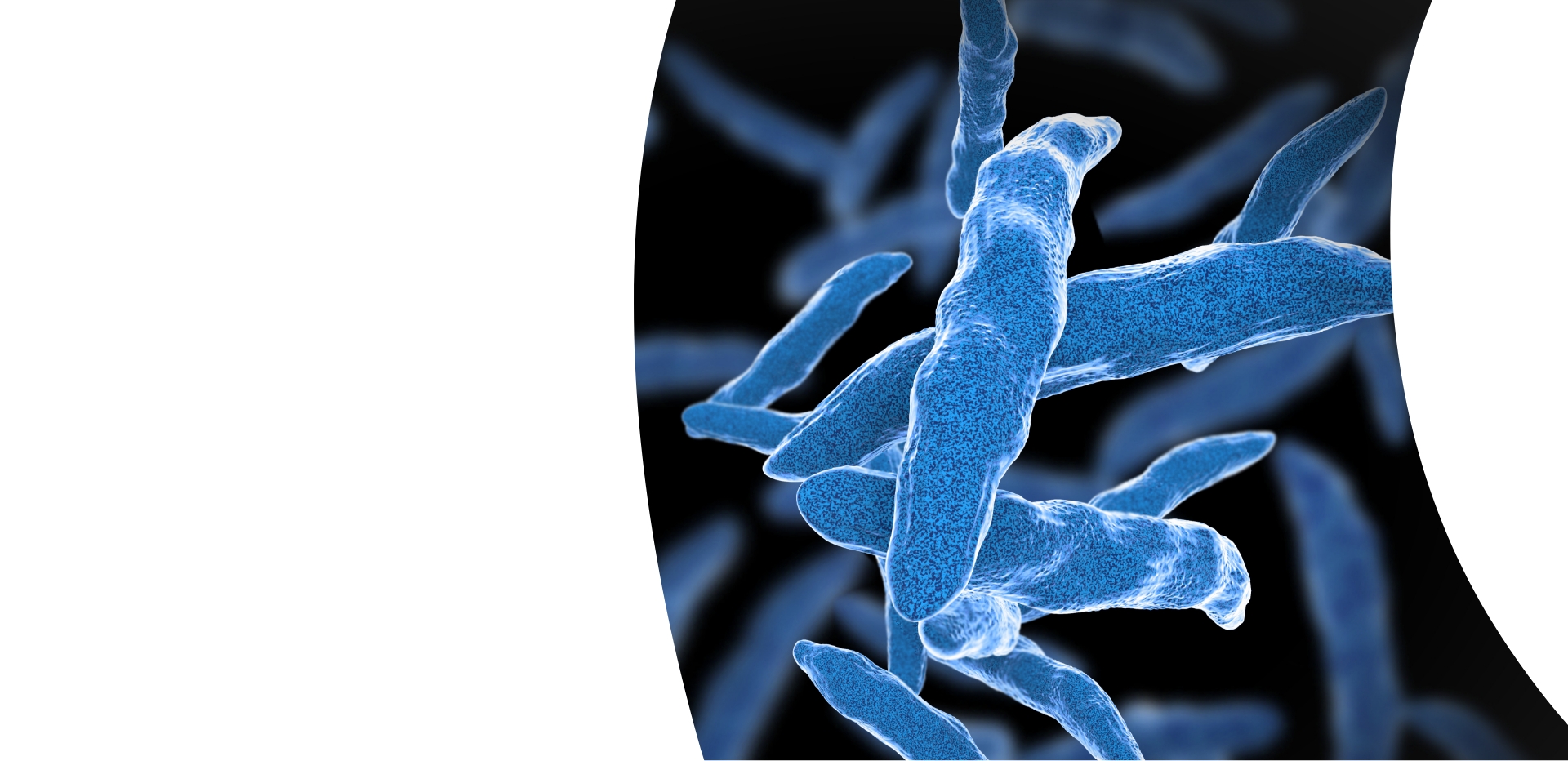 Immunoterapia czynna przeciwgruźlicza